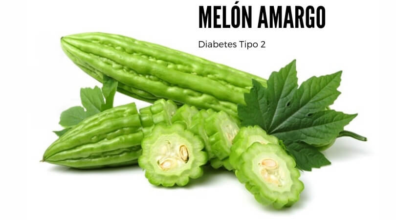 melon amargo diabetes tipo 2